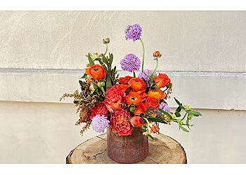 Dallas Florists Dr Delphinium Designs & Events