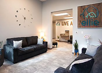 New Braunfels Psychologists Dr. Jolene Des Roches, Ph.D., LPC-S, NCC - ELLIE MENTAL HEALTH