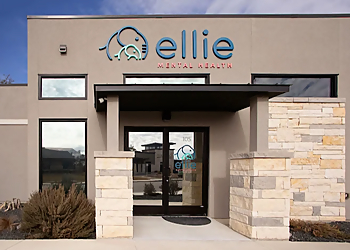 New Braunfels Psychologists Dr. Jolene Des Roches, Ph.D., LPC-S, NCC - ELLIE MENTAL HEALTH