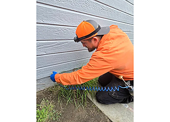 Dr Termites - Ventura, CA Pest Control Companies - Field Work Image