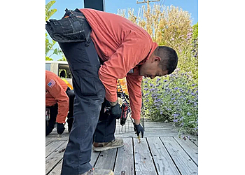 Dr Termites Dr Termites - Ventura, CA Pest Control Companies - Service Image