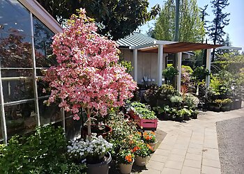 Drake's 7 Dees Landscaping and Garden Center Portland Landscaping Companies image 1
