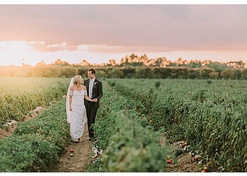 Miami Videographers Dream Light Visuals