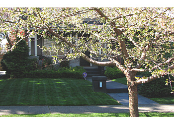 Seattle landscaping company Dreamscapes Landscaping