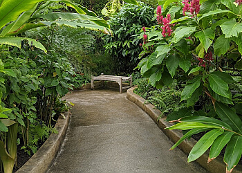 Baltimore Public Parks Druid Hill Park