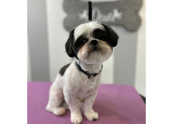 Providence Pet Grooming Dtails Pet Grooming & Nutrition