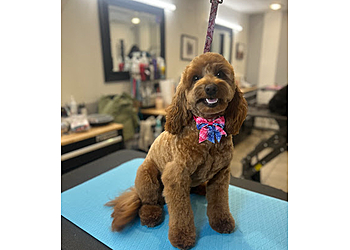 Providence Pet Grooming Dtails Pet Grooming & Nutrition