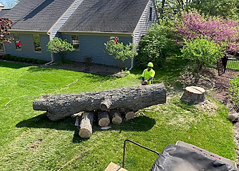 Aurora Tree Services Duck's Tree and Stump Service