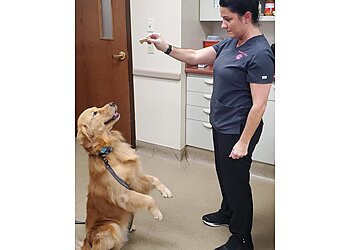 Fort Wayne Veterinary Clinics Dupont Veterinary Clinic