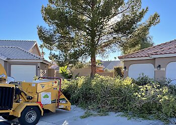 Las Vegas Tree Services Duranchi Tree Service