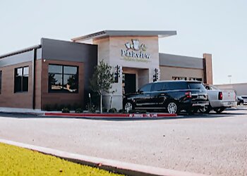 Lubbock Kids Dentists Dustin Janssen, DDS - PARKVIEW PEDIATRIC DENTISTRY