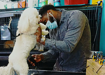 Palmdale Pet Grooming Dusty Paws Dog Grooming