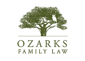 Springfield Divorce Lawyers Dylan Driskell - OZARKS FAMILY LAW