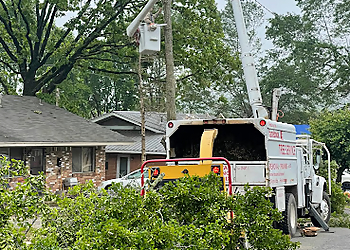 Little Rock Tree Services Dylan Tree Services LLC