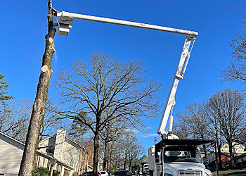 Little Rock Tree Services Dylan Tree Services LLC