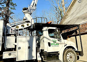 Dylan Tree Services LLC Little Rock Tree Services image 1