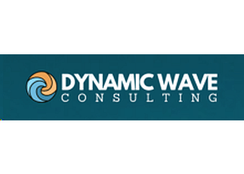 Dynamic Wave Consulting 