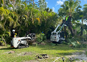 West Palm Beach Tree Services ECO Tree Expert