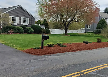 ED Professional Tree Service - Providence, RI Tree Services - Service Image
