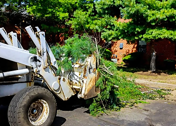 ED Professional Tree Service ED Professional Tree Service - Providence, RI Tree Services - Service Vehicle Image