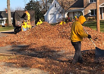 Alexandria Lawn Care Services EP Mowing & Landscaping Inc.