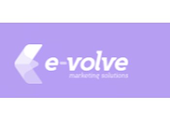  E-Volve Marketing  Dearborn Advertising Agencies image 1