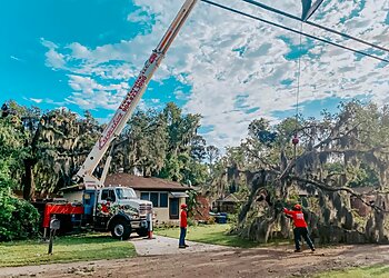 Jacksonville Tree Services Eagerton Tree Service, LLC