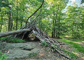 Newark Hiking Trails Eagle Rock Reservation