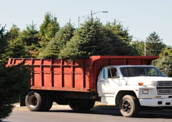 Eagle Tree Service Eagle Tree Service
