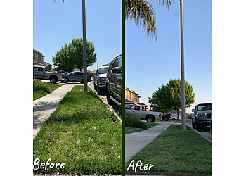 Visalia Lawn Care Services Early Bird Landscaping