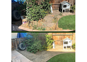 Visalia Lawn Care Services Early Bird Landscaping