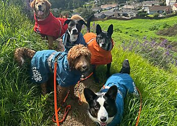 Oakland Dog Walkers Earth Girl Dog Walker