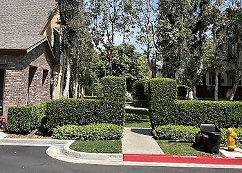 Santa Ana Landscaping Companies Earthco Commercial Landscape