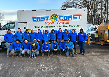 Baltimore Tree Services East Coast Tree Care