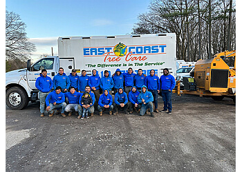 East Coast Tree Care Baltimore Tree Services