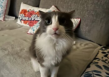 Dallas Veterinary Clinics East Dallas Veterinary Clinic