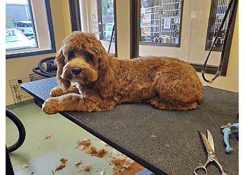 Dallas Veterinary Clinics East Dallas Veterinary Clinic