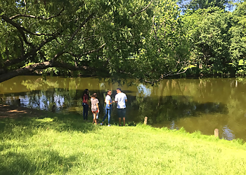 Shreveport Public Parks East Kings Highway Park