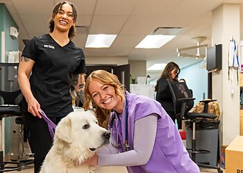 Colorado Springs Veterinary Clinics East Springs Animal Hospital