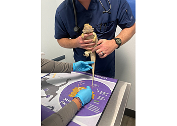 Ventura Veterinary Clinics East Ventura Animal Hospital