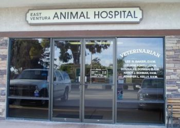 East Ventura Animal Hospital Ventura Veterinary Clinics image 1