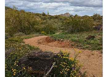 East Wing Mountain Trails - Peoria, AZ Hiking Trails - Scenic View Image