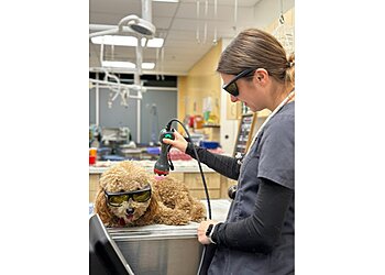 Baltimore Veterinary Clinics Eastern Animal Hospital