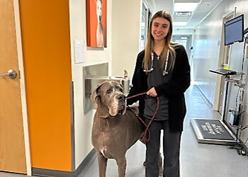 Baltimore Veterinary Clinics Eastern Animal Hospital