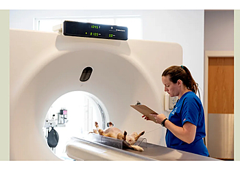 Wilmington Veterinary Clinics Eastern Carolina Veterinary Referral