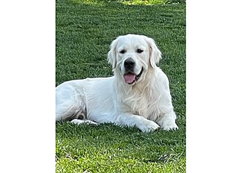 Allentown Veterinary Clinics Eastern Pennsylvania Veterinary Medical Cente