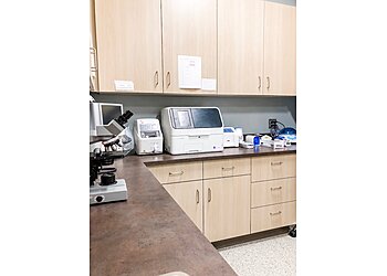 Eastern Pennsylvania Veterinary Medical Cente Allentown Veterinary Clinics image 1