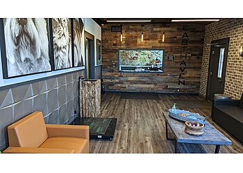 Ann Arbor Veterinary Clinics Easthaven Animal Hospital