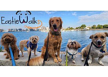 Eastie Walks Boston Dog Walkers image 1