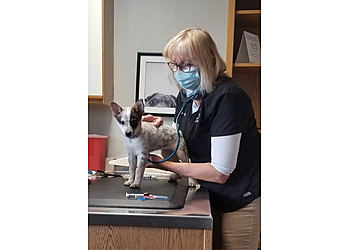 Thornton Veterinary Clinics Eastlake Veterinary Services